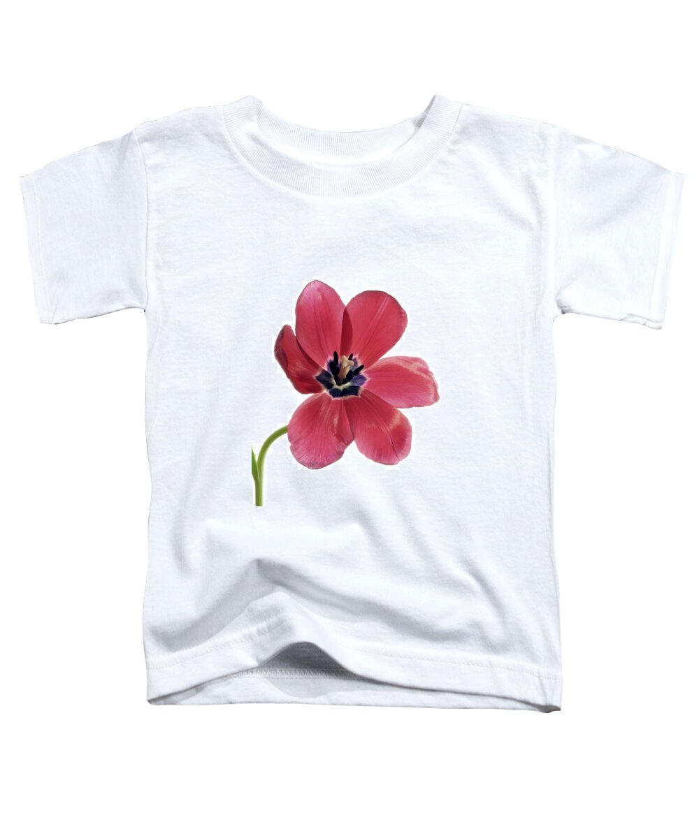 Flower Toddler T-Shirt featuring the photograph Red Transparent Tulip by Phyllis Meinke