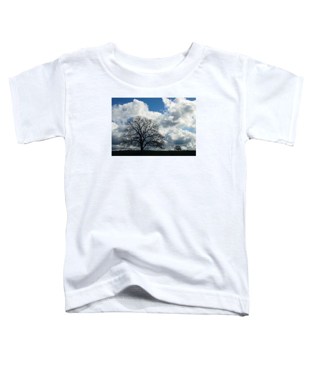 Tree Toddler T-Shirt featuring the photograph Same Tree Many Skies 13 by Robert Woodward