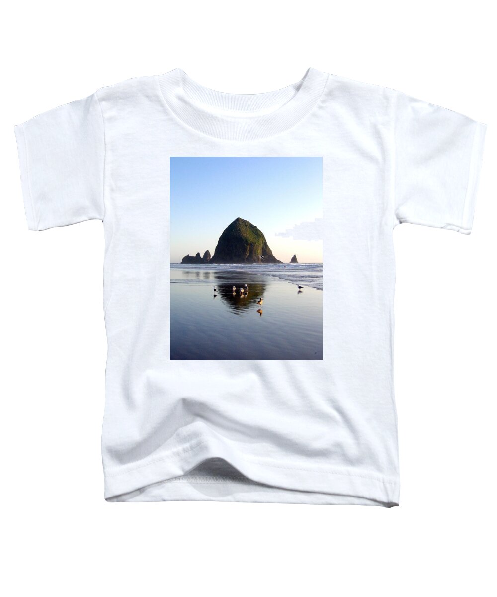 Seagulls And A Surfer Toddler T-Shirt featuring the photograph Seagulls And A Surfer by Will Borden