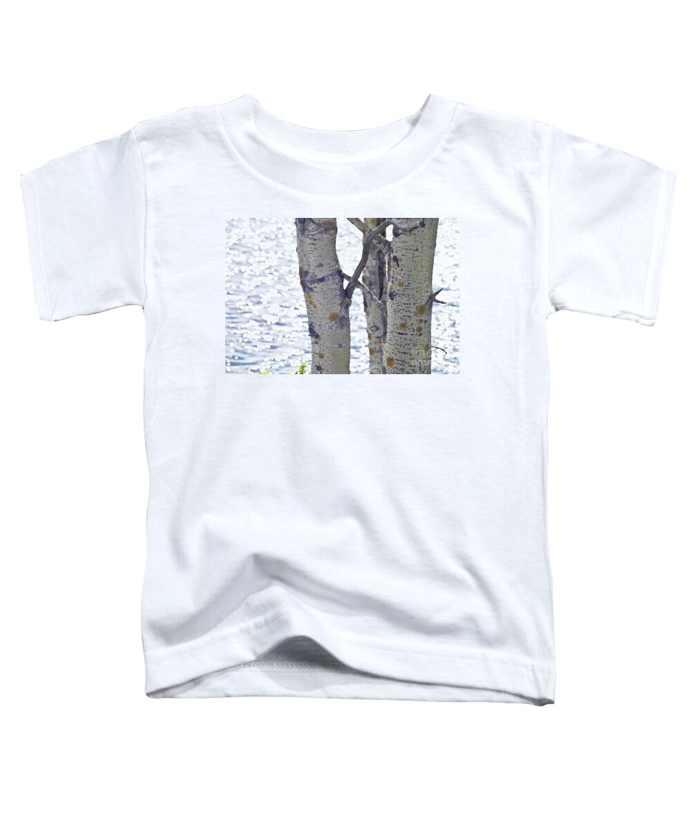 Tree Toddler T-Shirt featuring the photograph Silver birch trees at a sunny lake by Heiko Koehrer-Wagner
