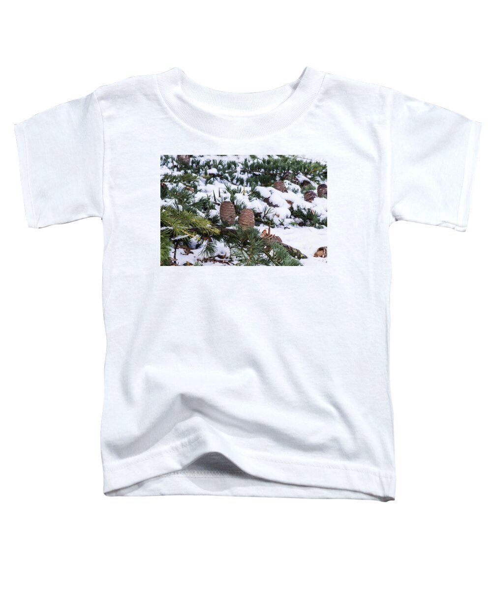 Snow Toddler T-Shirt featuring the photograph Snow Cones by Spikey Mouse Photography
