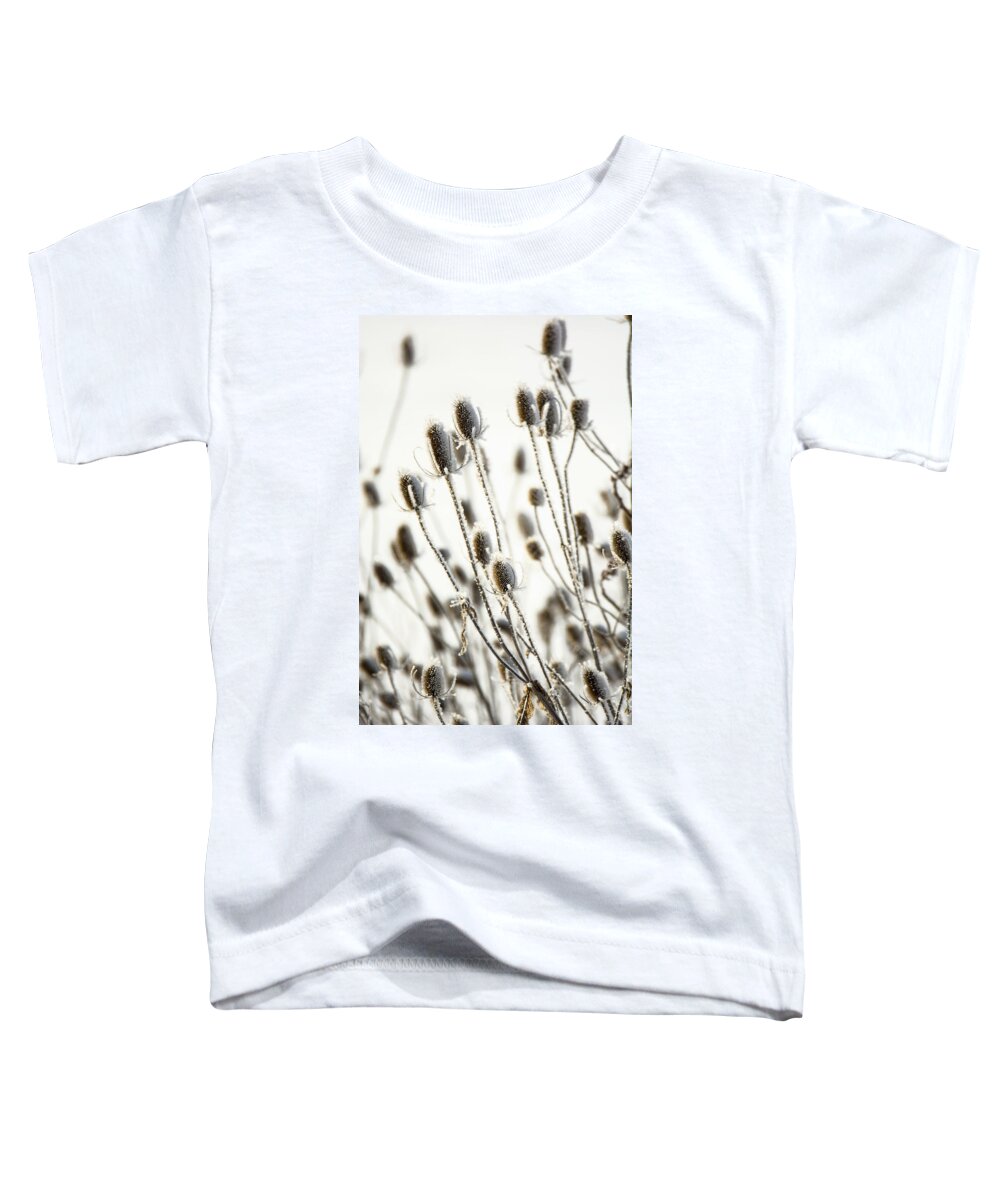 Thistle Toddler T-Shirt featuring the photograph Snow Painted Thistle by Tracy Winter
