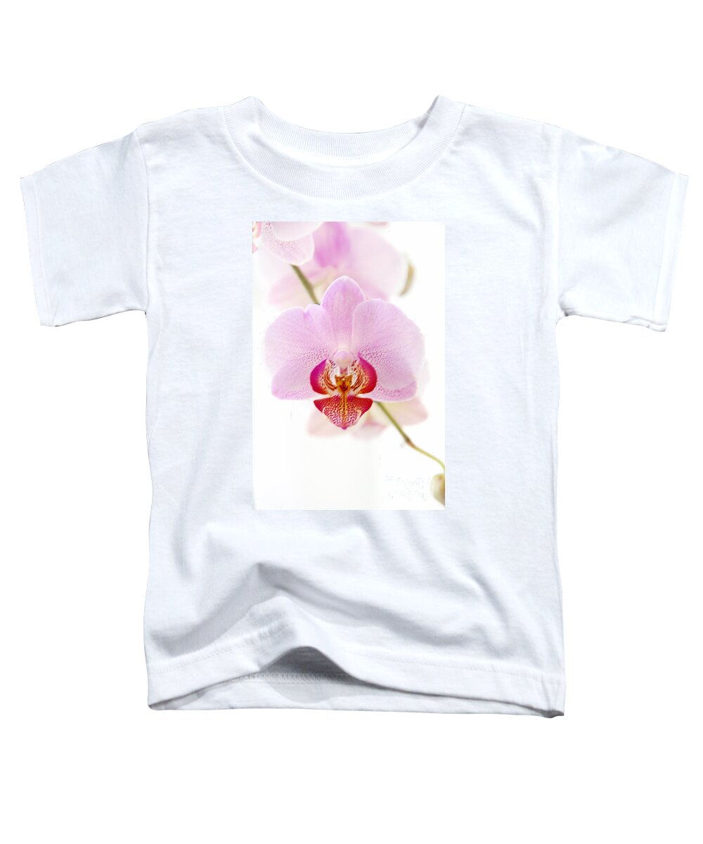 Asia Toddler T-Shirt featuring the photograph Soft Orchid by Hannes Cmarits