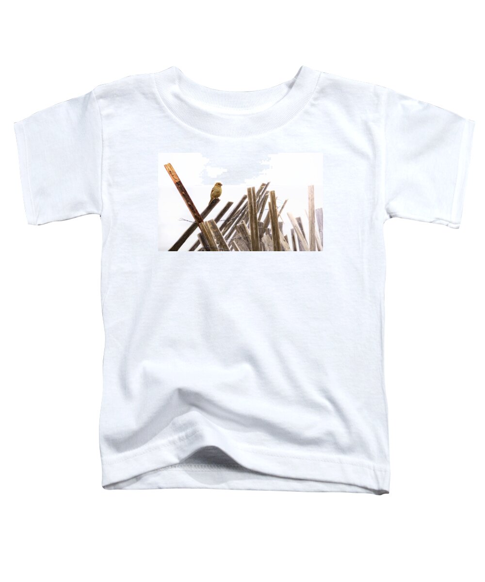 Bird Toddler T-Shirt featuring the photograph Sparrow by Rick Mosher