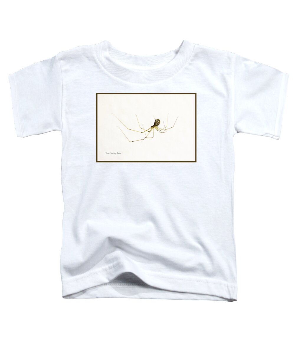 Spider Resider Toddler T-Shirt featuring the photograph Spider Resider by Tom Janca