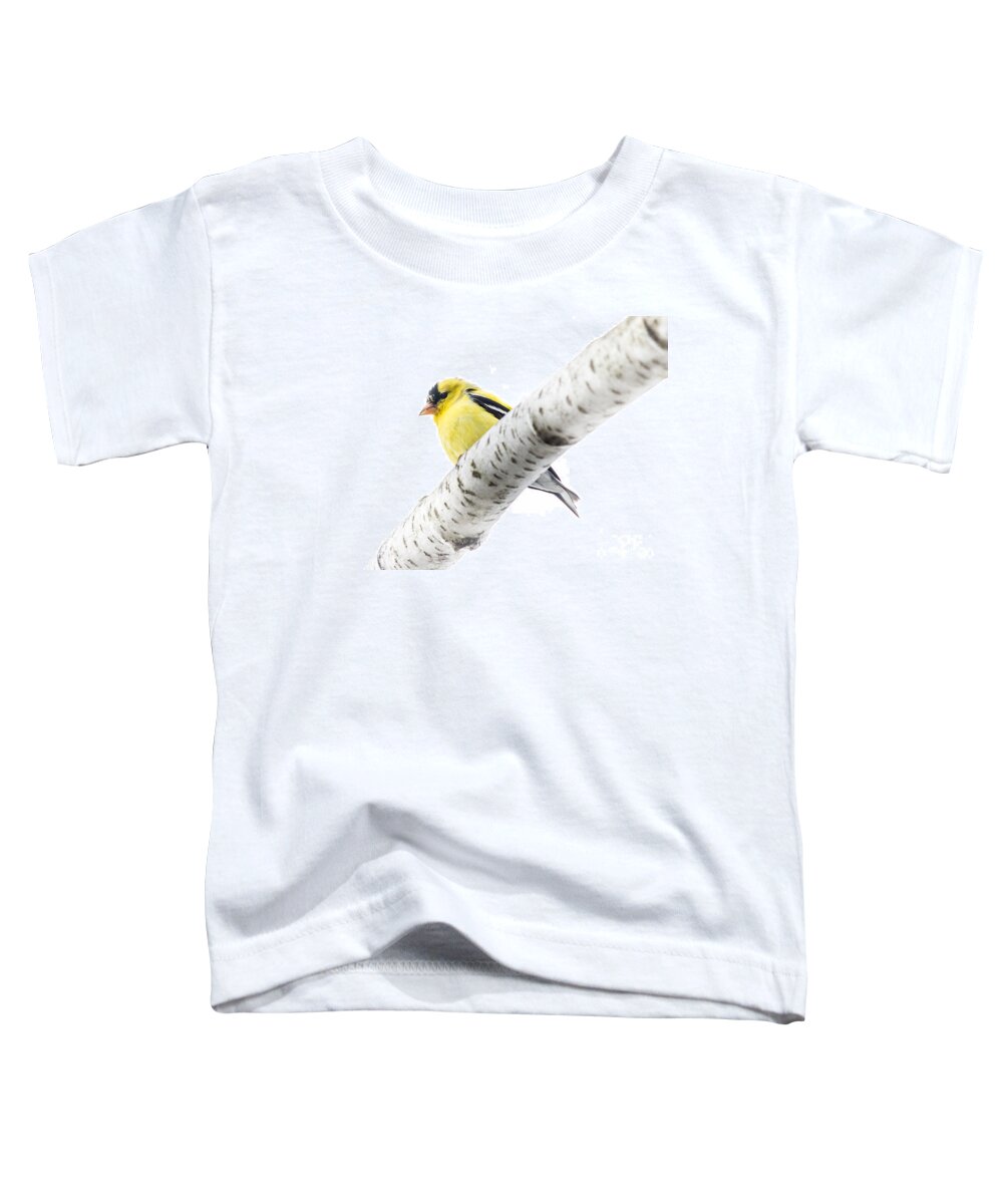 Ornithology Toddler T-Shirt featuring the photograph Spring Beauty by Cheryl Baxter