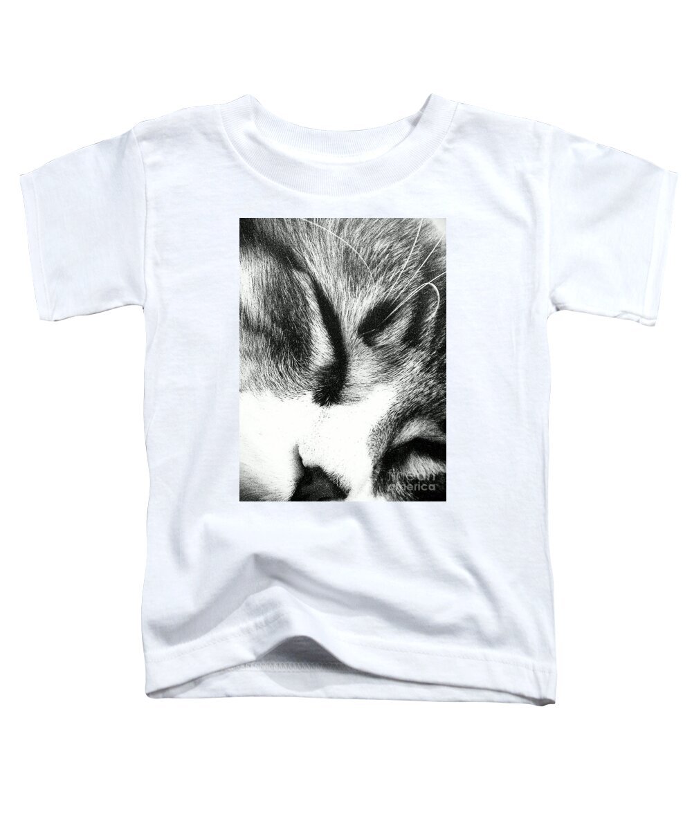 Maine Coon Toddler T-Shirt featuring the photograph Sweet Dreams by Jacqueline McReynolds