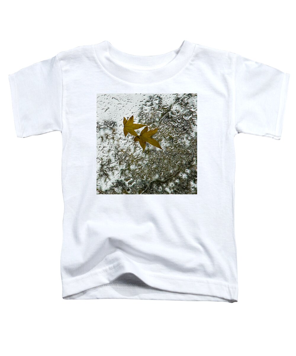 Georgia Mizuleva Toddler T-Shirt featuring the photograph Symbols of Autumn by Georgia Mizuleva