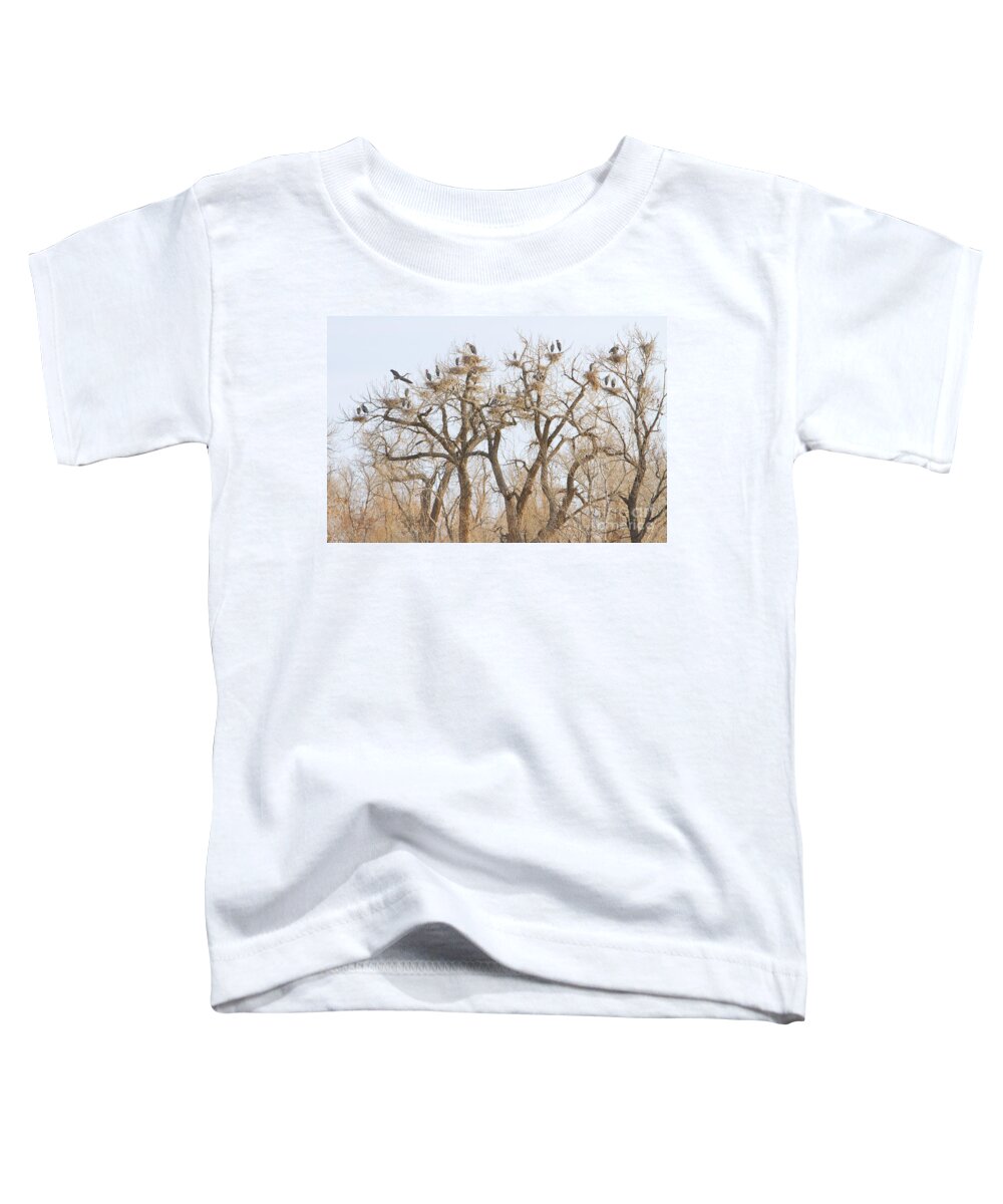 Blue Heron Toddler T-Shirt featuring the photograph Thats A Lot Of Heron by James BO Insogna
