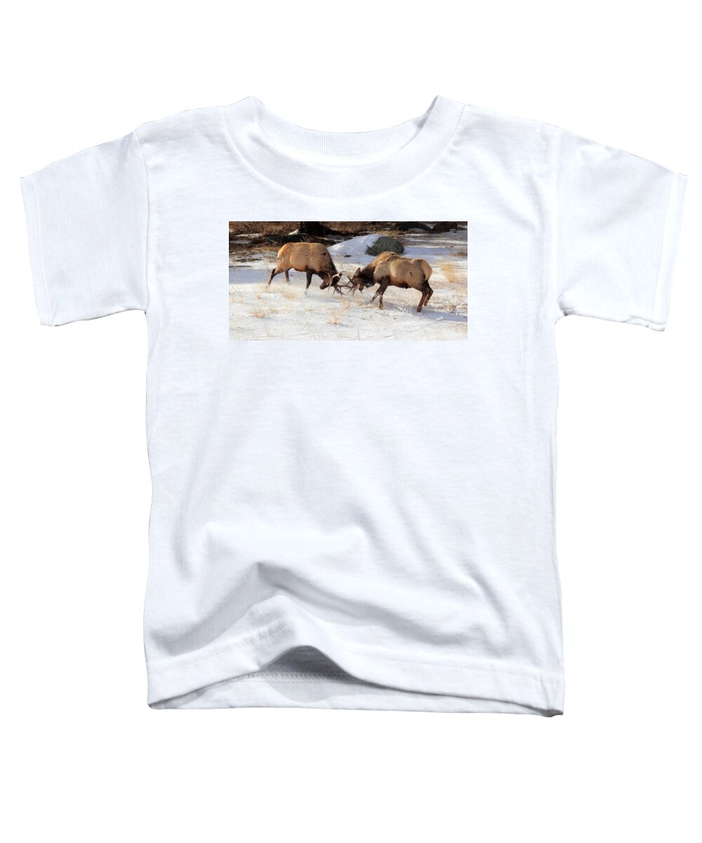 Elk Toddler T-Shirt featuring the photograph The Battle by Shane Bechler