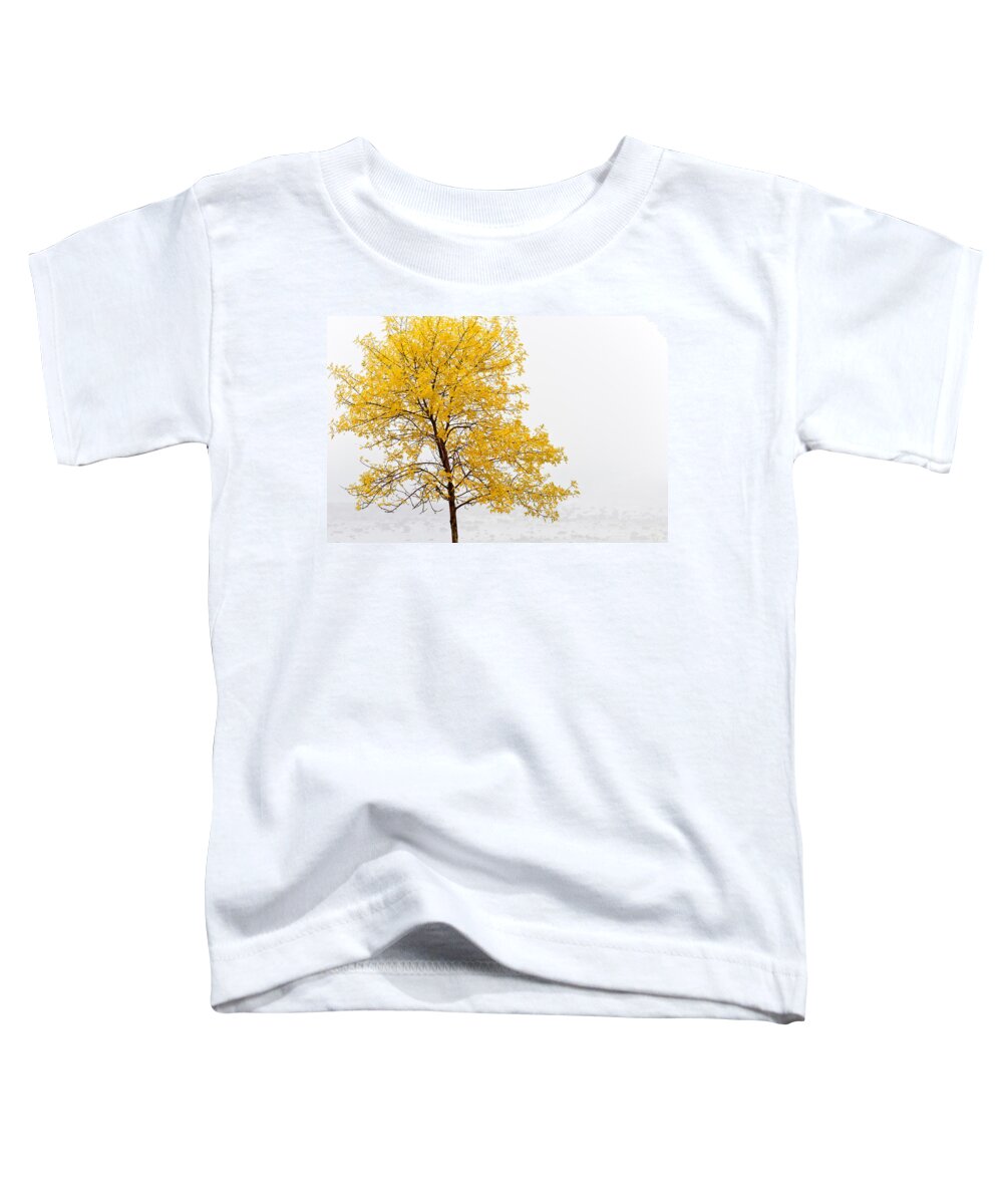 Autumn Toddler T-Shirt featuring the photograph Tree #1 by U Schade