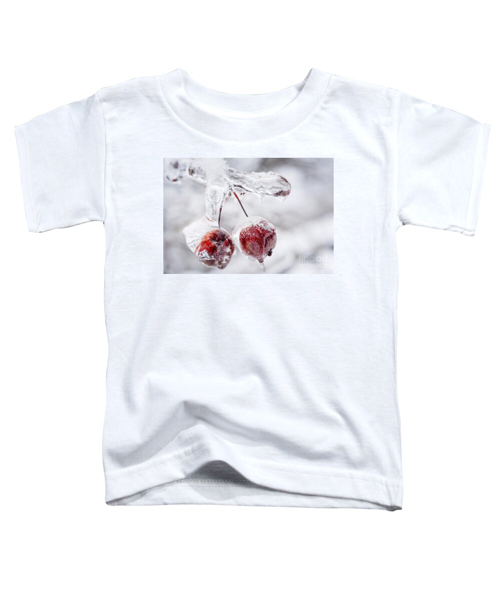 Crabapples Toddler T-Shirt featuring the photograph Two frozen crab apples by Elena Elisseeva