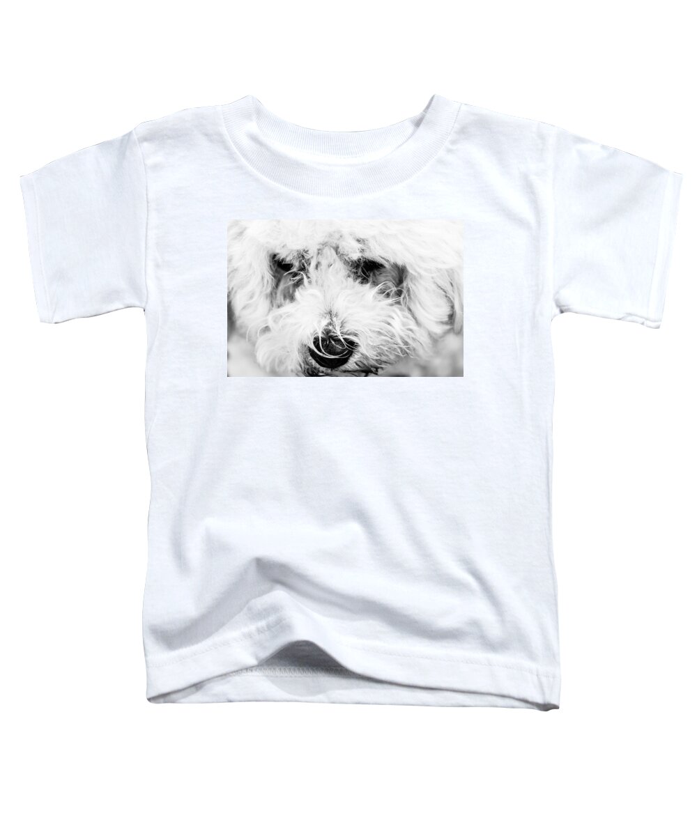 Dog Toddler T-Shirt featuring the photograph White Dog by Ben Graham
