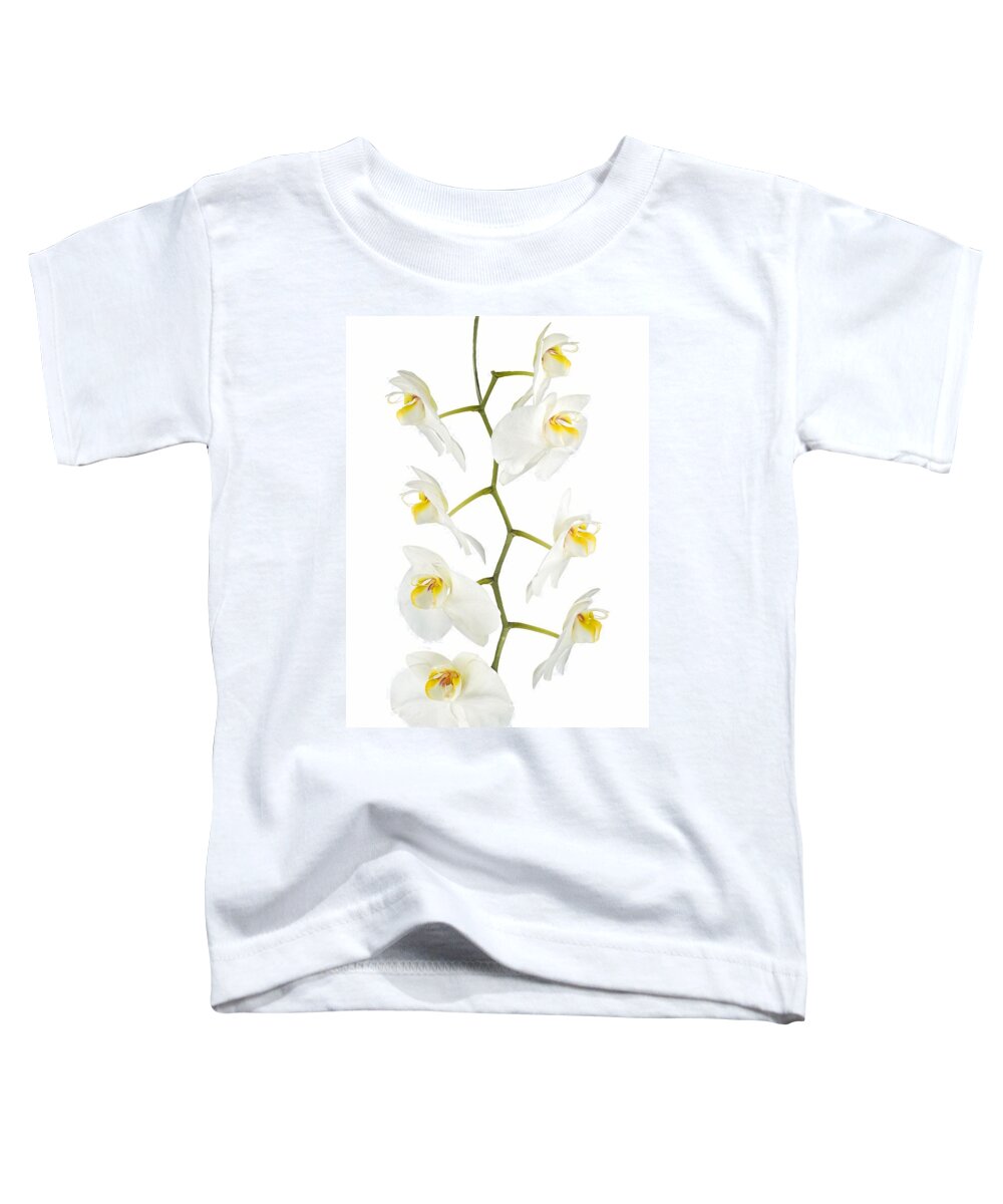 Orchid Toddler T-Shirt featuring the photograph White Orchid-4783 by Rudy Umans