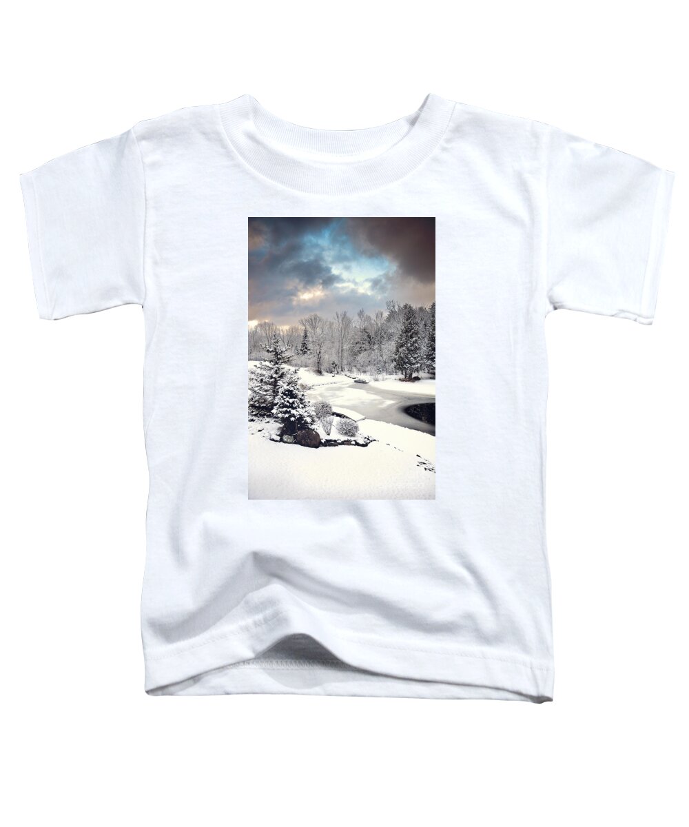 Winter Wonderland Picture Toddler T-Shirt featuring the photograph Winter Solace by Gwen Gibson