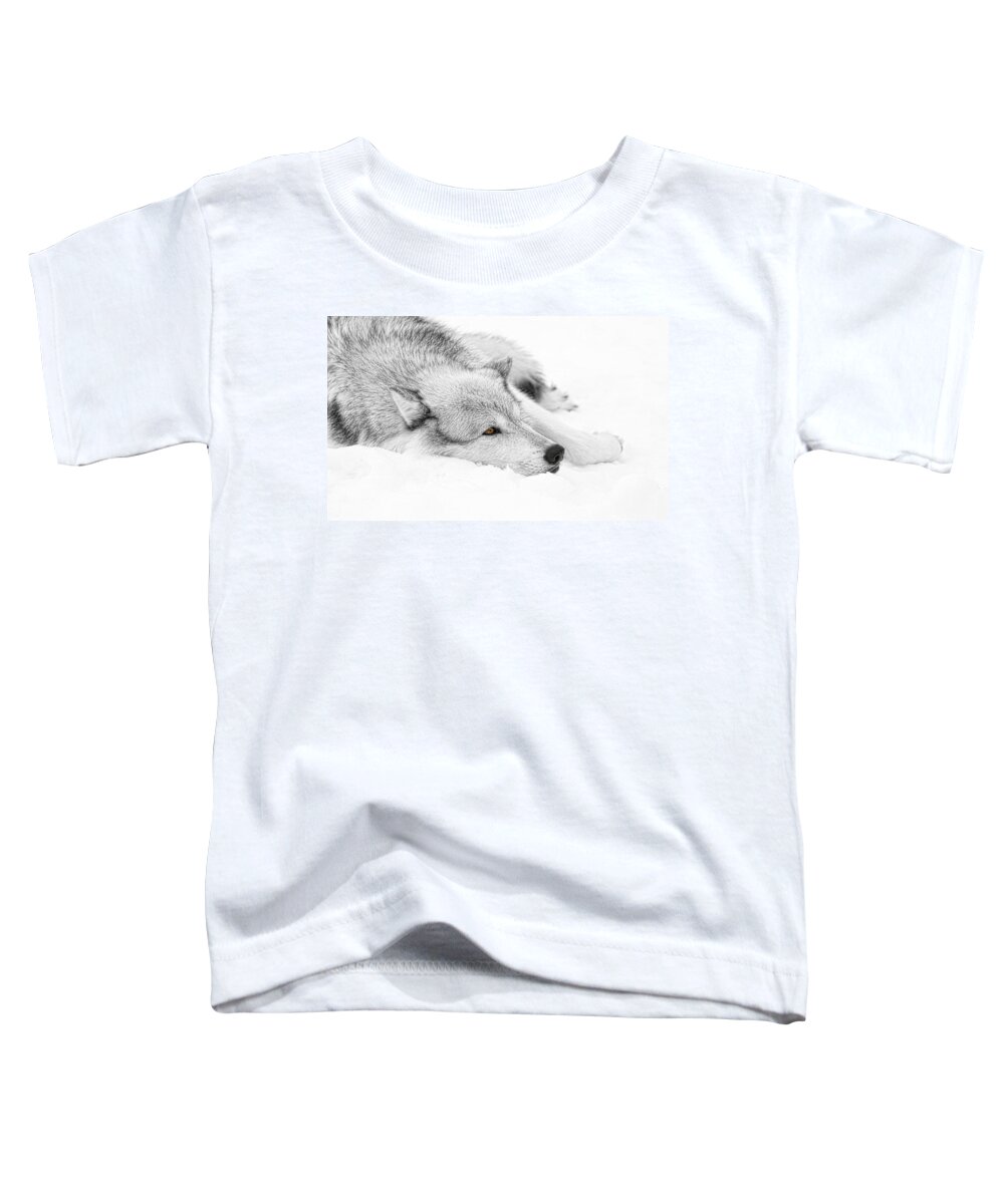 Wolf Toddler T-Shirt featuring the photograph Winters Wolf by Steve McKinzie