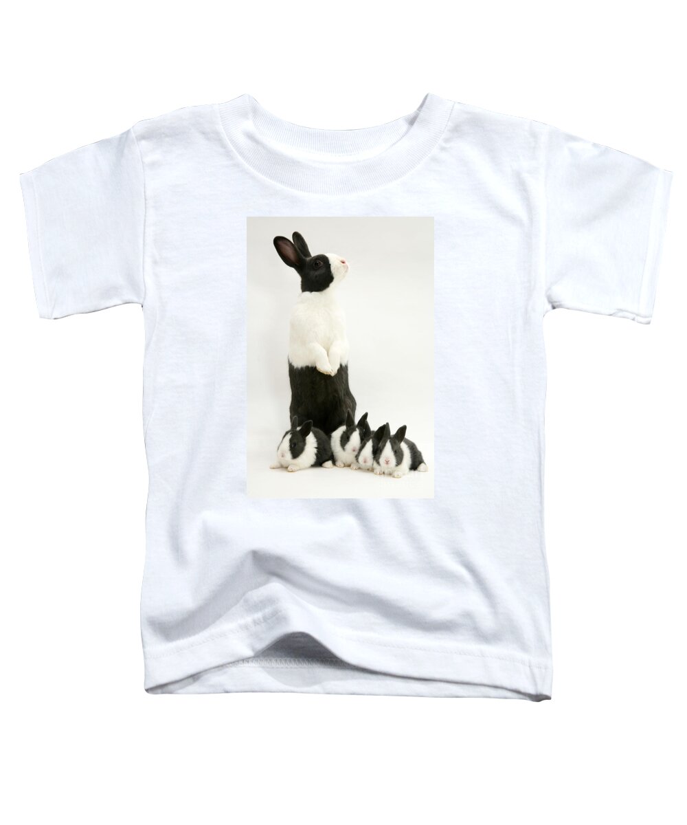 Animal Toddler T-Shirt featuring the photograph Blue Dutch Rabbits #1 by Jane Burton