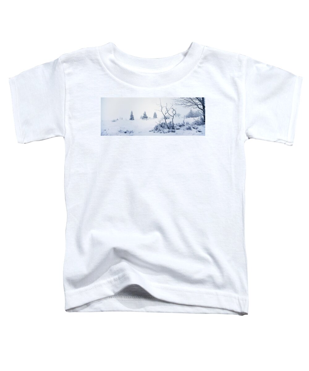 Moorland Toddler T-Shirt featuring the photograph Winter on the moor by Ulrich Kunst And Bettina Scheidulin