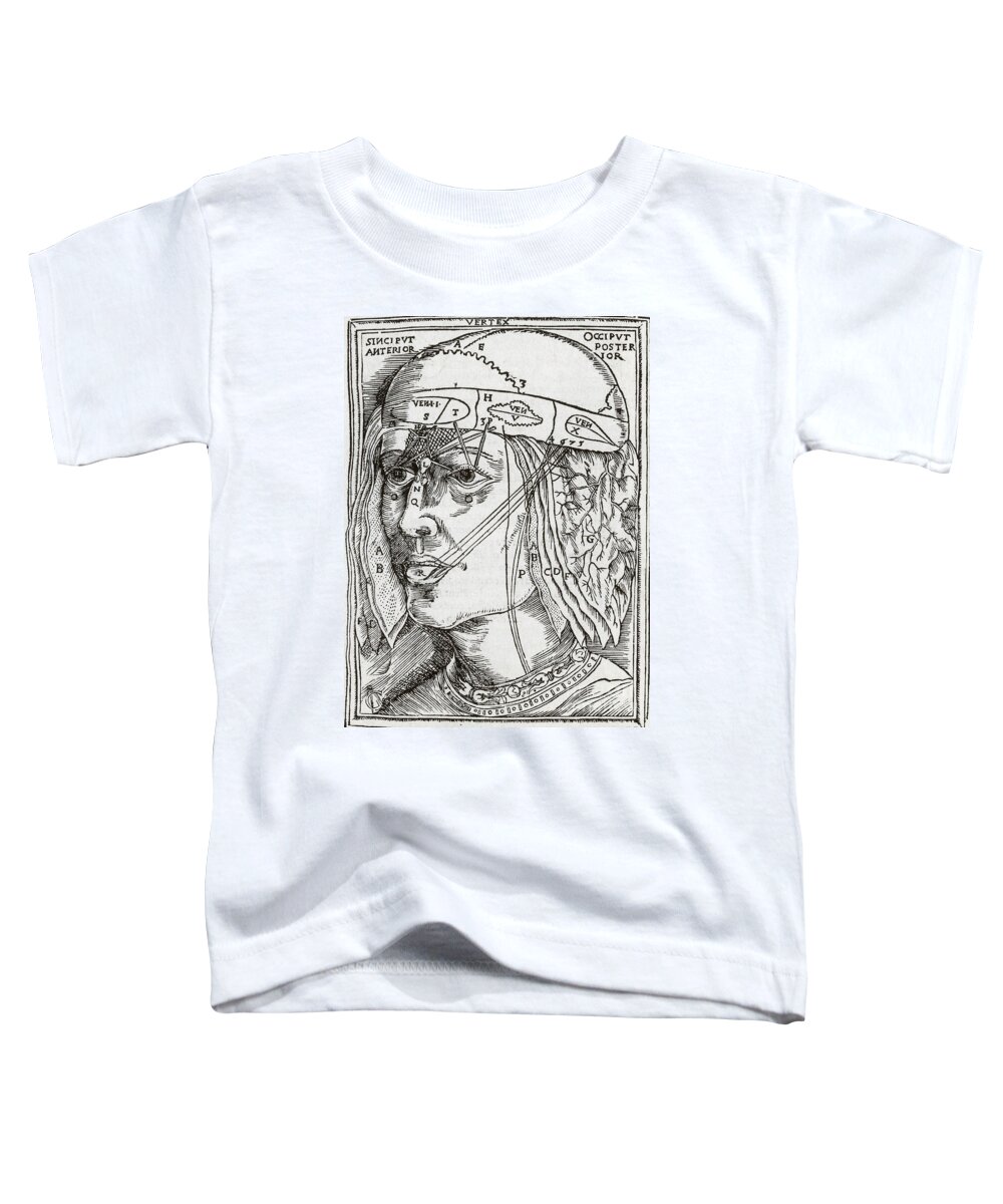 Historical Toddler T-Shirt featuring the photograph Layers Of The Brain #3 by Science Source