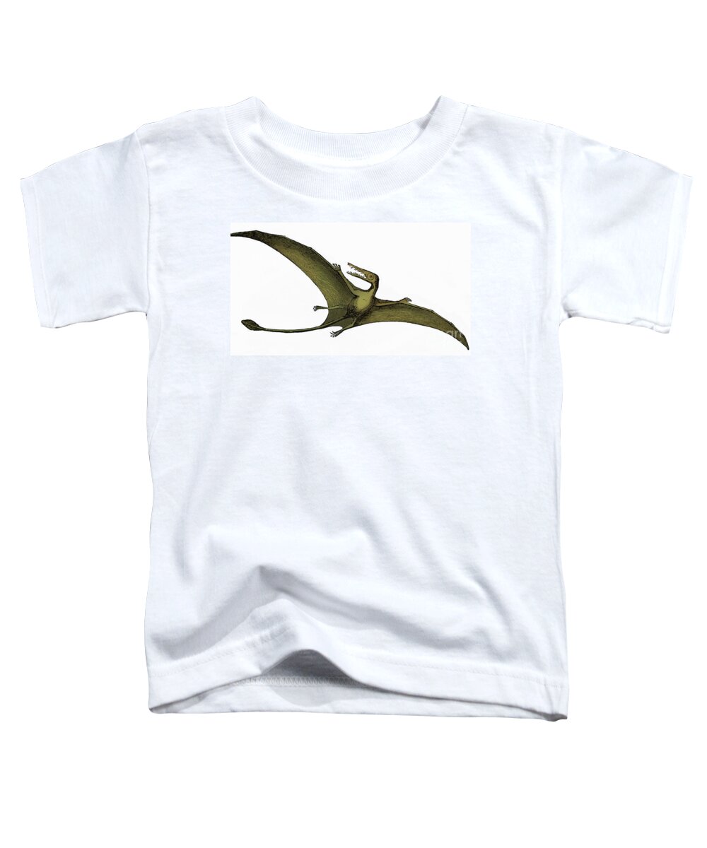 Prehistory Toddler T-Shirt featuring the photograph Pterodactyl Extinct Flying Reptile #5 by Science Source