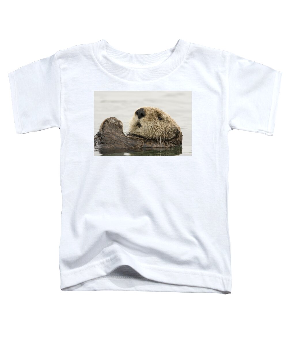 00429872 Toddler T-Shirt featuring the photograph Sea Otter Elkhorn Slough Monterey Bay #2 by Sebastian Kennerknecht