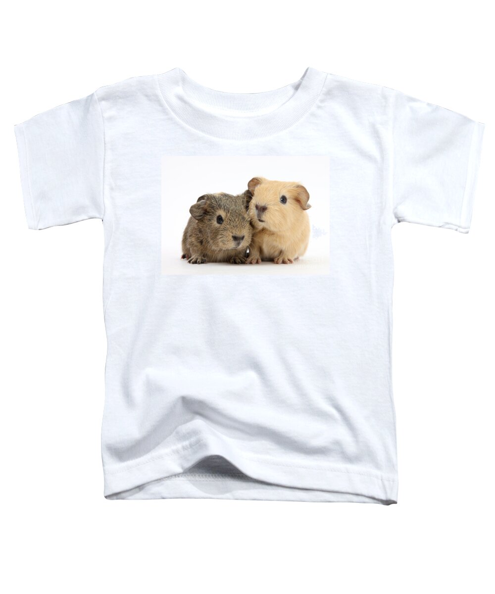 Animal Toddler T-Shirt featuring the photograph Guinea Pigs #6 by Mark Taylor