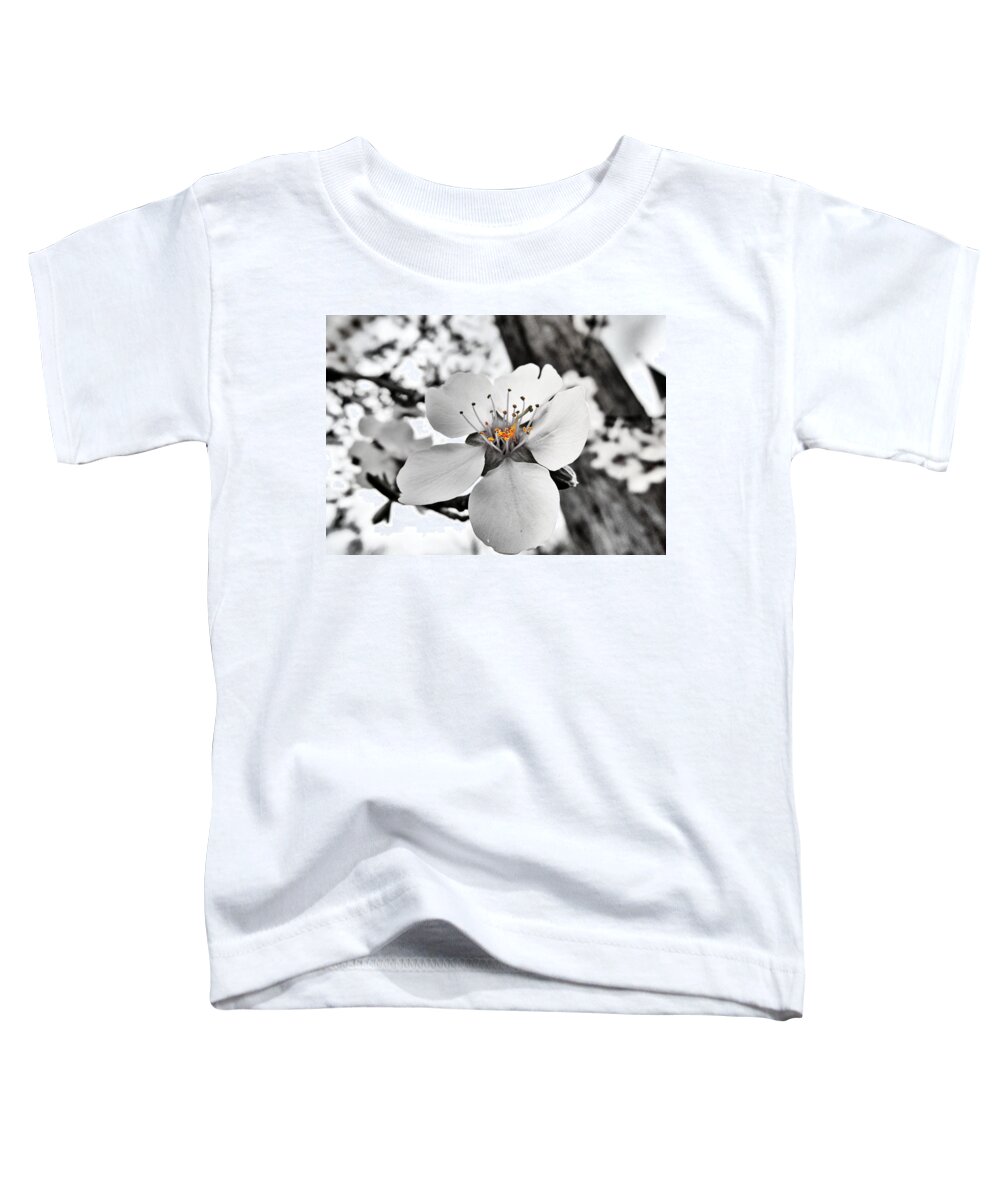 Almond Toddler T-Shirt featuring the photograph Almond Blossom by Marianna Mills