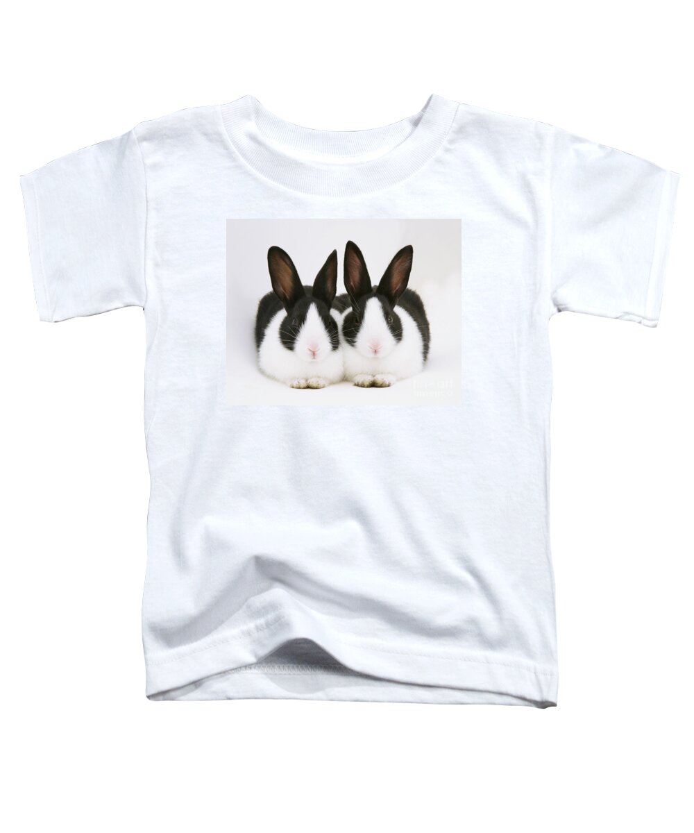 Black-and-white Dutch Rabbit Toddler T-Shirt featuring the photograph Baby Black-and-white Dutch Rabbits by Jane Burton