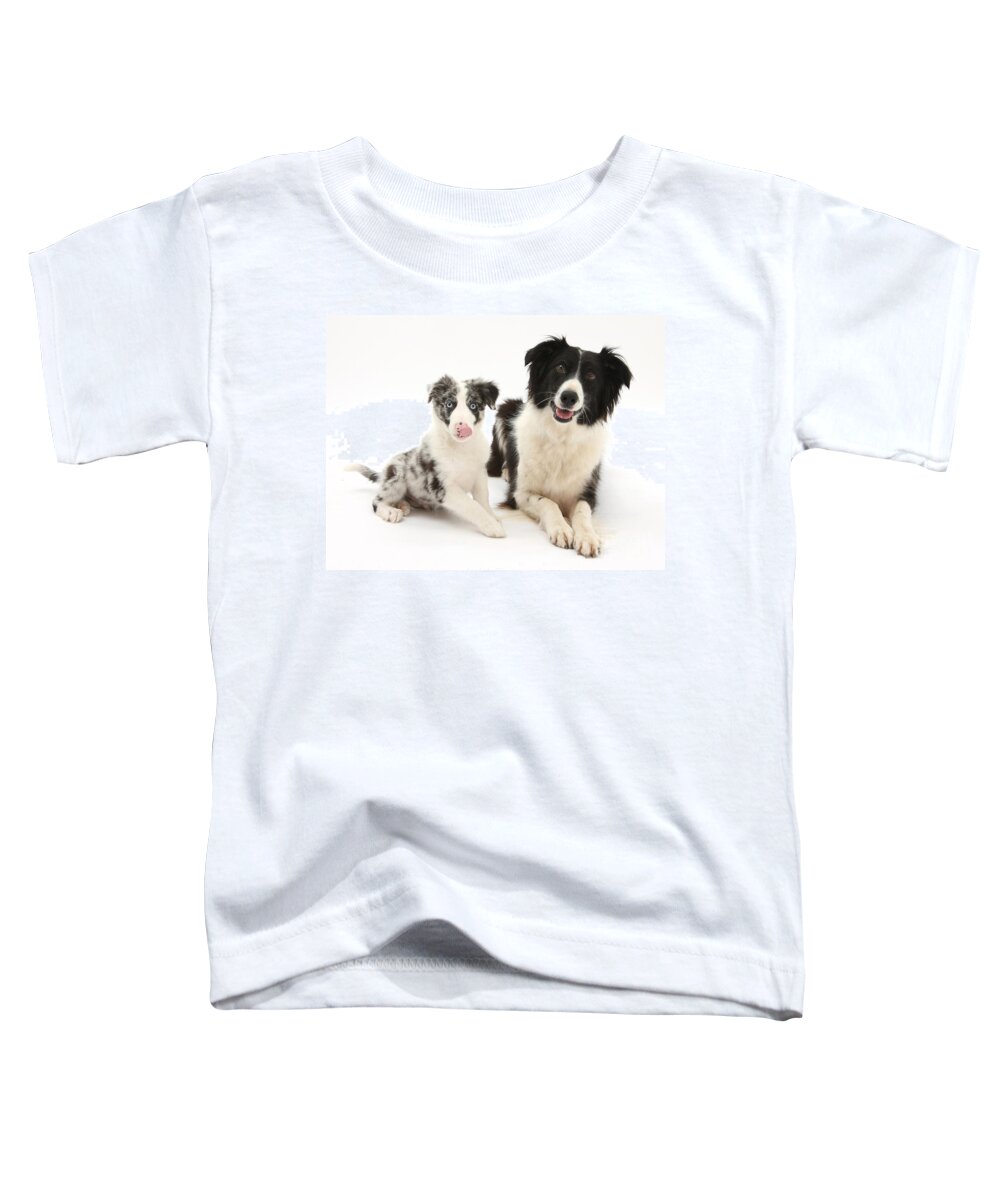 Animal Toddler T-Shirt featuring the photograph Border Collies by Mark Taylor