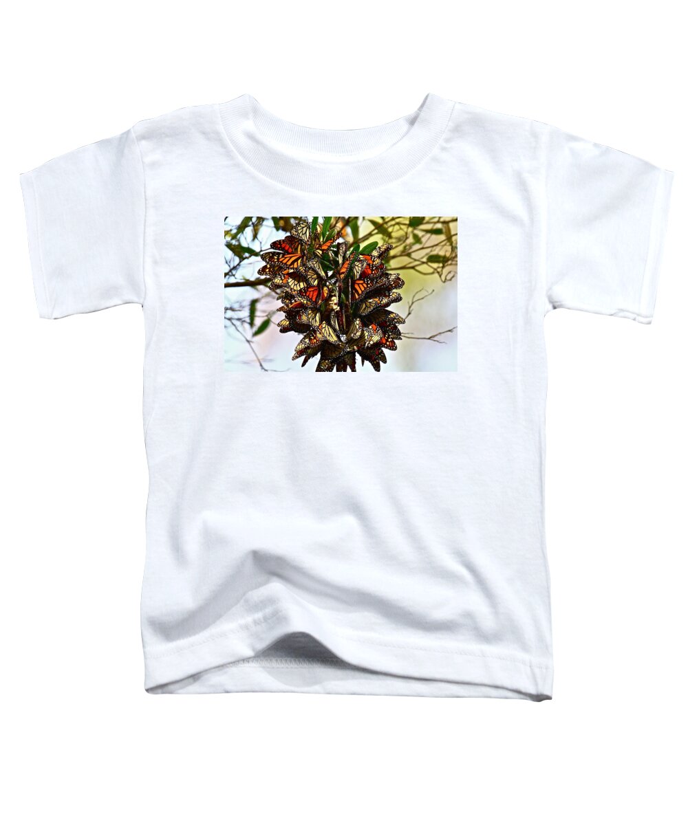 Butterfly Toddler T-Shirt featuring the photograph Butterfly Bouquet by Diana Hatcher