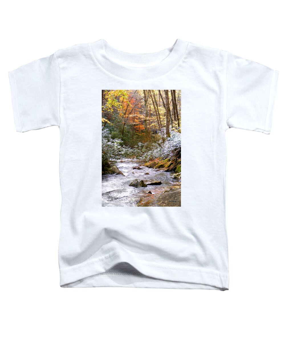 Rivers Toddler T-Shirt featuring the photograph Courthouse River in the Fall by Duane McCullough