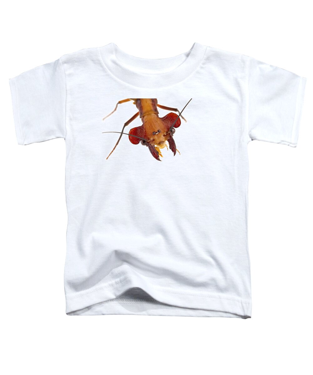 00478911 Toddler T-Shirt featuring the photograph Dobsonfly Tapanti Np Costa Rica by Piotr Naskrecki