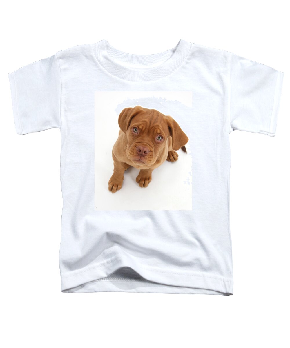 Animal Toddler T-Shirt featuring the photograph Dogue De Bordeaux Puppy by Mark Taylor