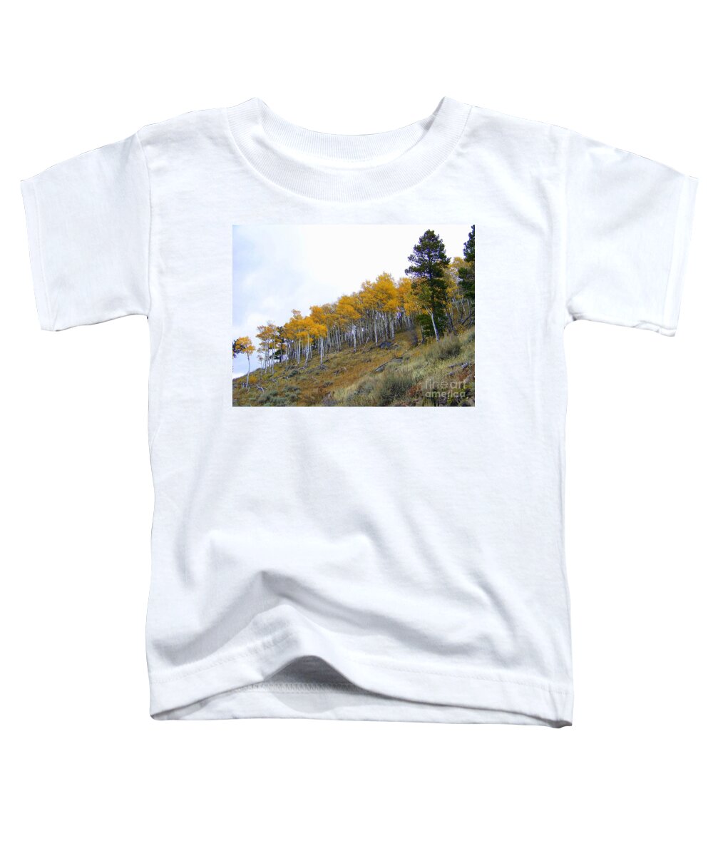 Aspen Toddler T-Shirt featuring the photograph Golden Stand by Dorrene BrownButterfield