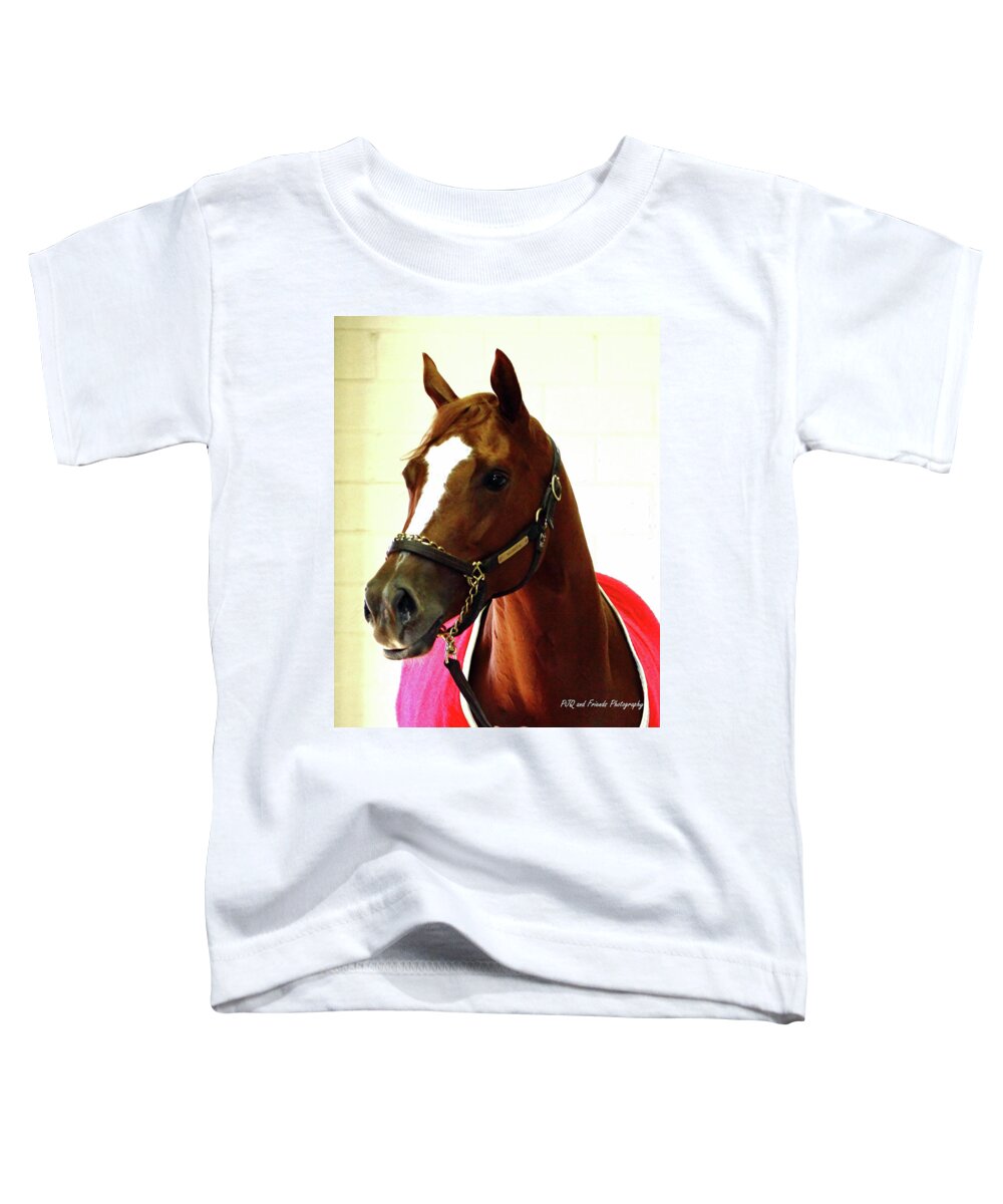 Thoroughbred Race Horse Toddler T-Shirt featuring the photograph 'Marigo in Red' by PJQandFriends Photography