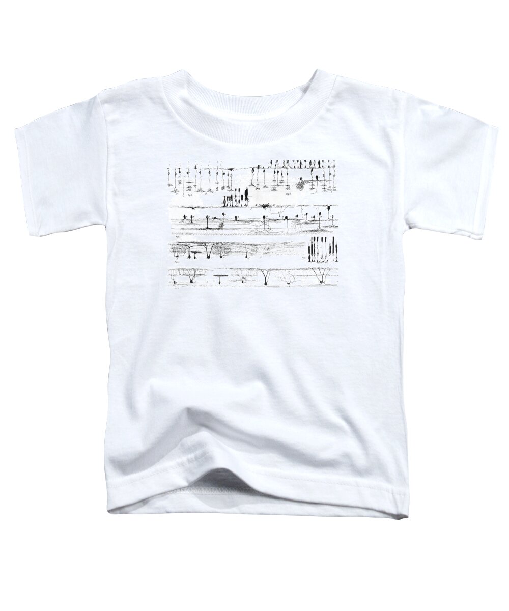 Science Toddler T-Shirt featuring the photograph Nerve Structure Of The Retina by Science Source