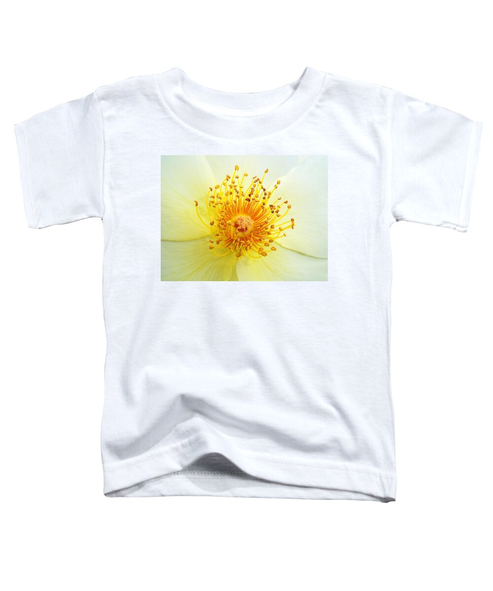 Rose Toddler T-Shirt featuring the photograph Rosa Golden Wings by Bel Menpes