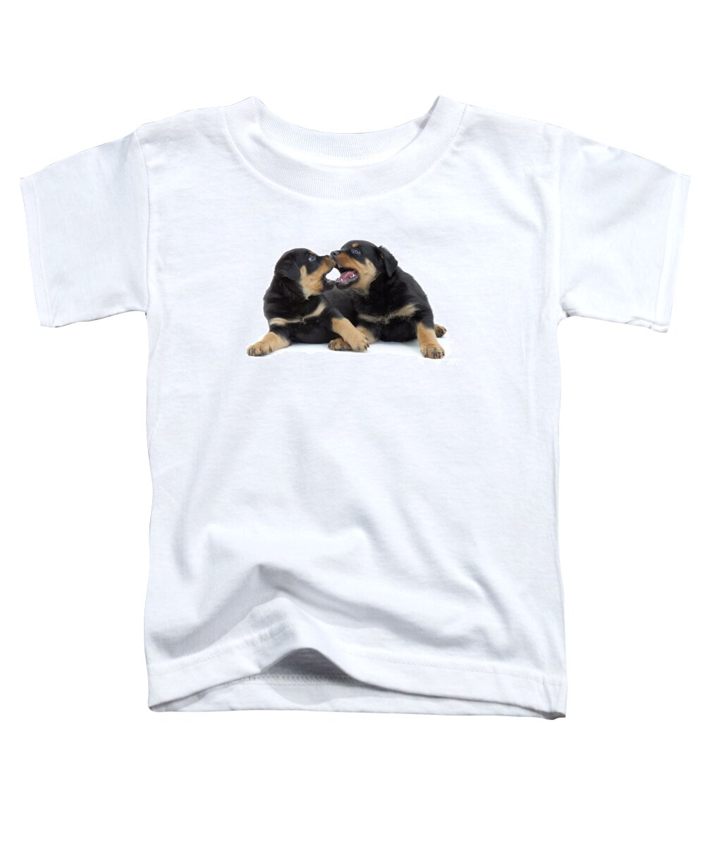 Dog Toddler T-Shirt featuring the photograph Rottweiler Pups by Jane Burton