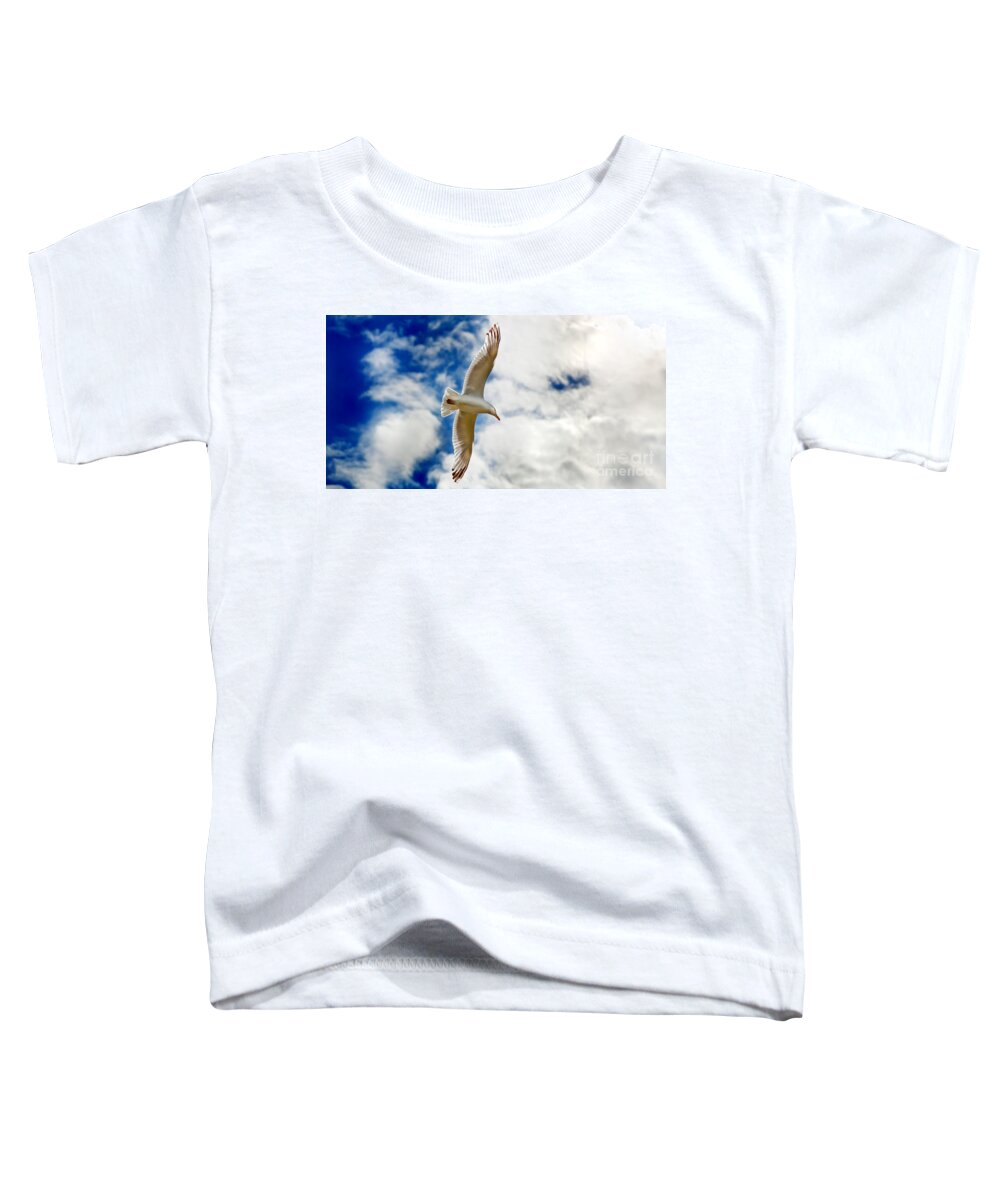 Seagul Toddler T-Shirt featuring the photograph Seagul gliding in flight by Simon Bratt