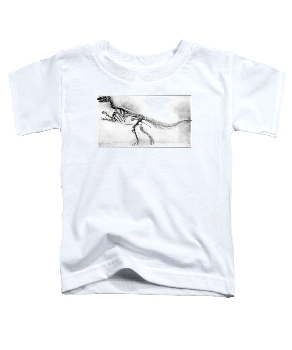 Dinosaur Toddler T-Shirt featuring the photograph Trachodon by Science Source