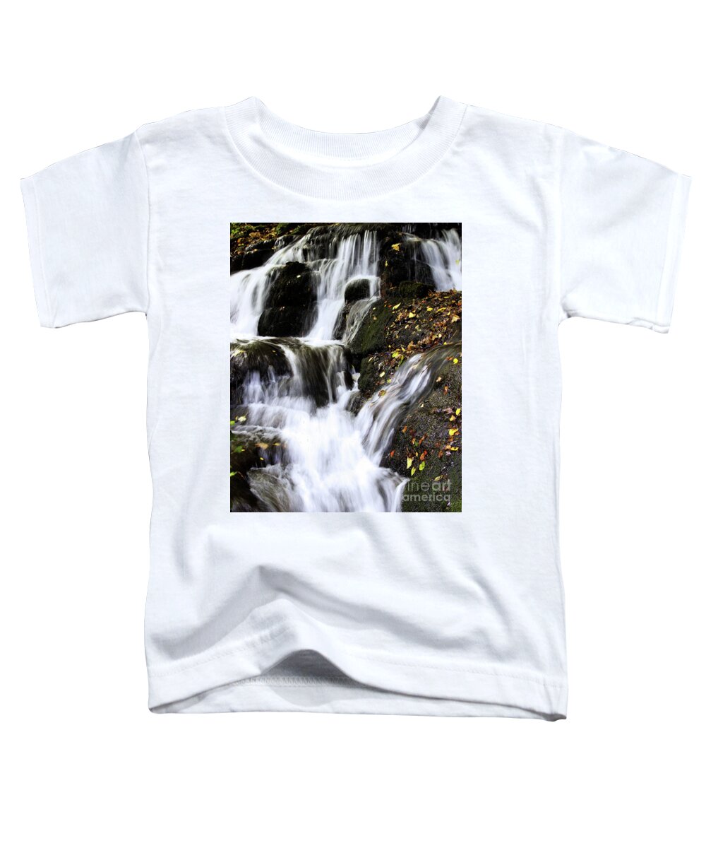 Badger Toddler T-Shirt featuring the photograph Badger Dingle fall by Baggieoldboy