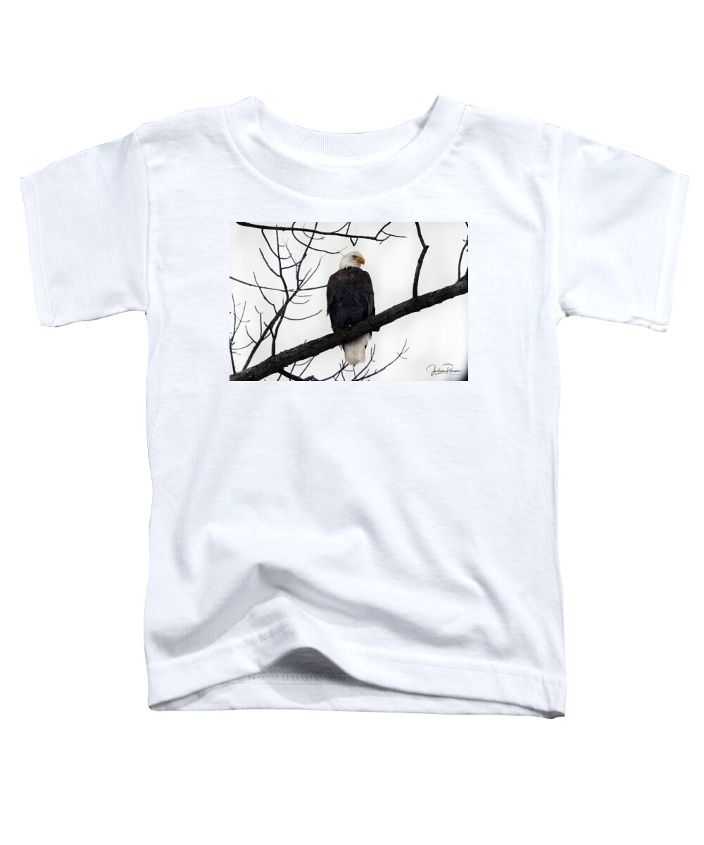 Bald Eagle Male. Bird Toddler T-Shirt featuring the photograph Bald Eagle #1 by Jackson Pearson