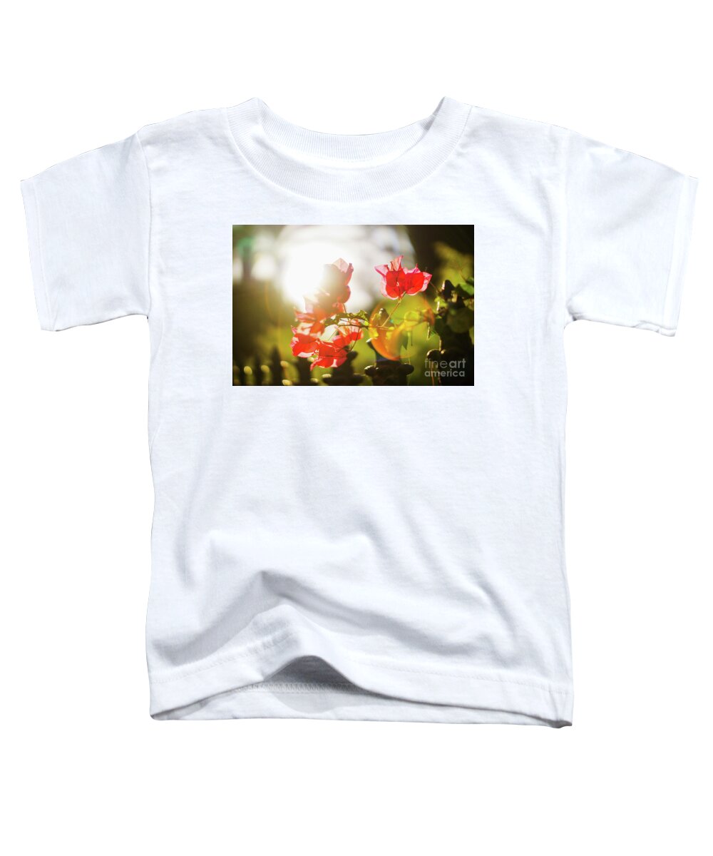  Toddler T-Shirt featuring the photograph Bougainvillea Spectabilis Genoves Park Cadiz Spain #1 by Pablo Avanzini