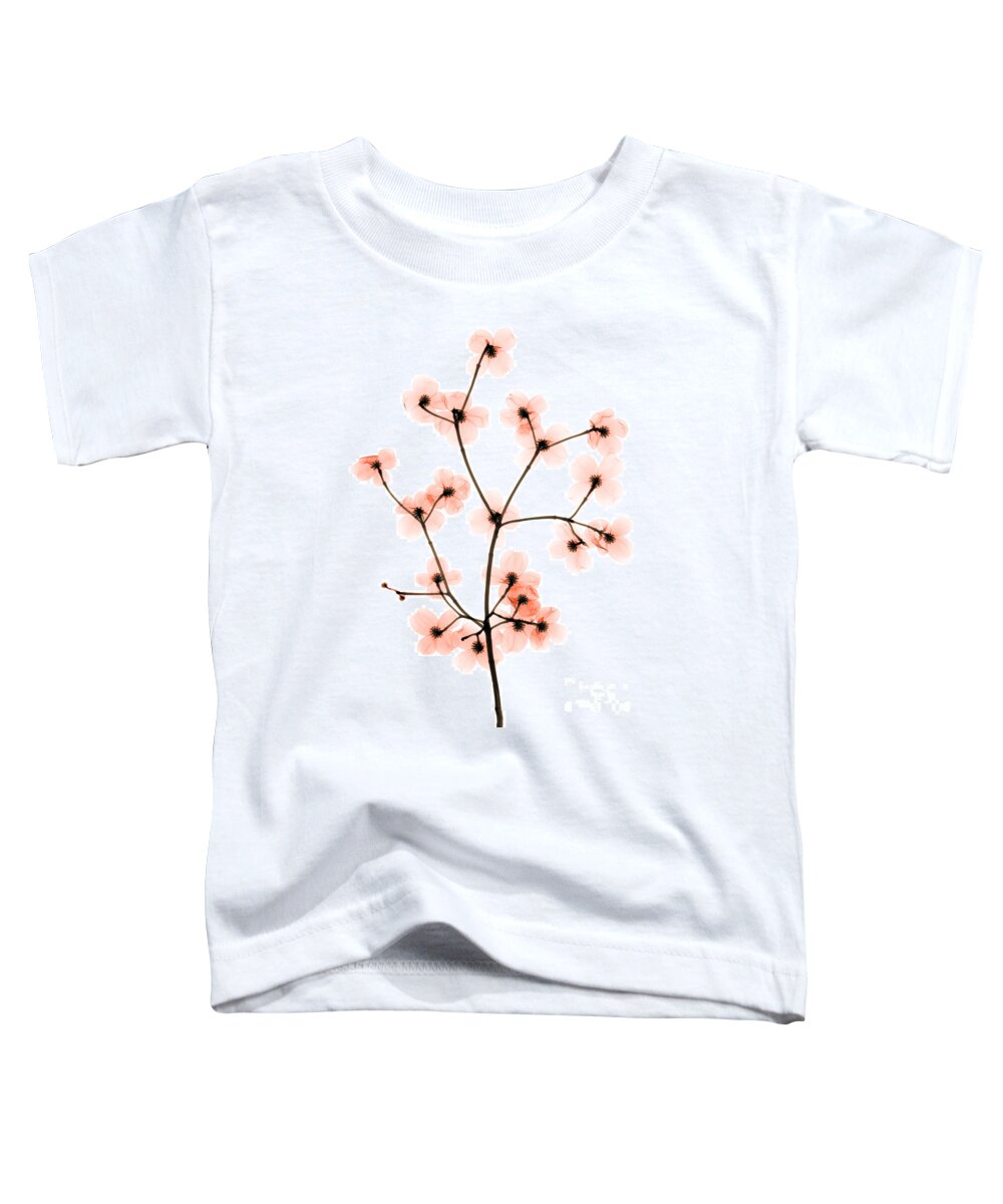 Tree Toddler T-Shirt featuring the photograph Flowering Dogwood X-ray #2 by Ted Kinsman