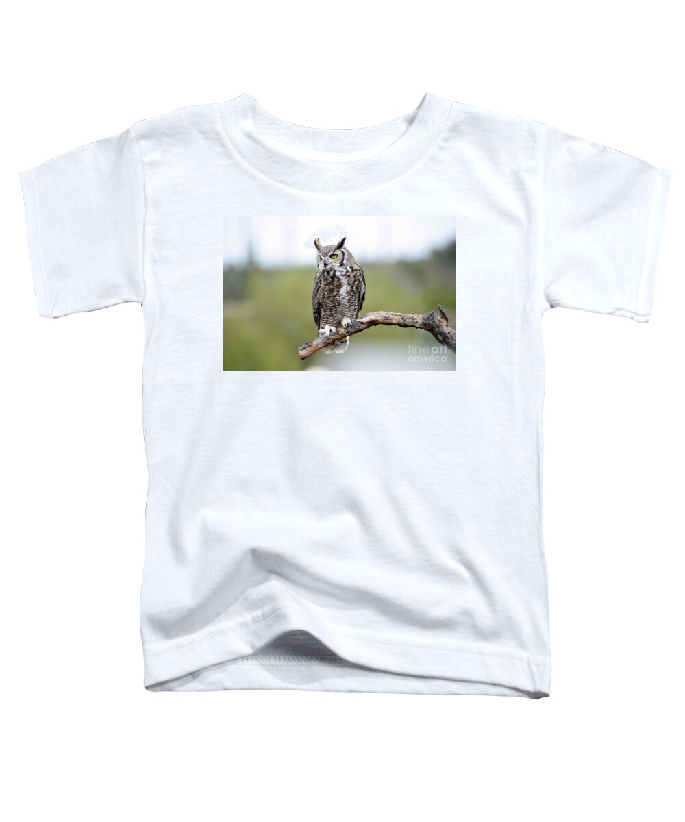 Denise Bruchman Toddler T-Shirt featuring the photograph Great Horned Owl #2 by Denise Bruchman