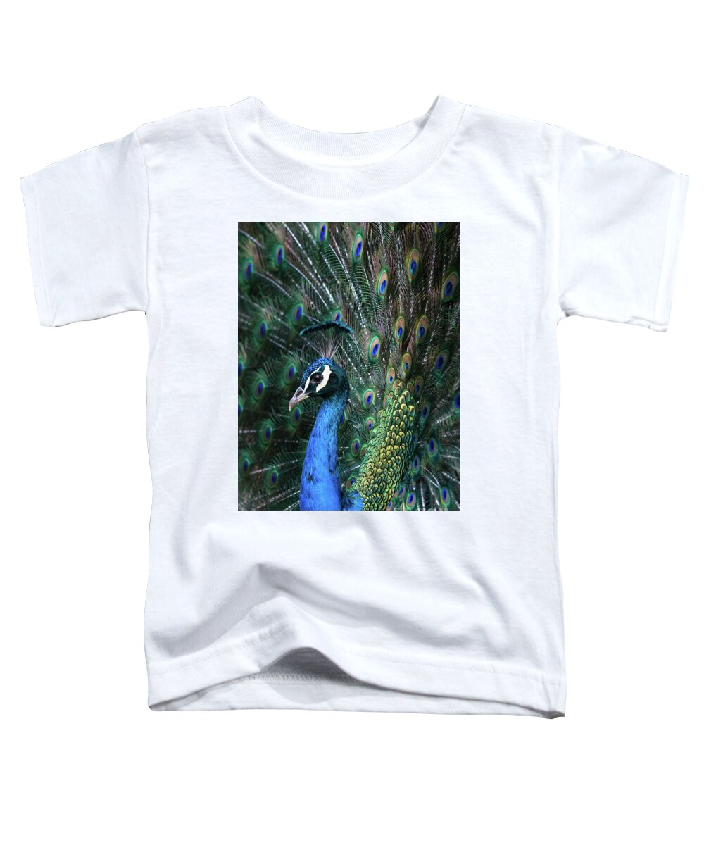 Indian Toddler T-Shirt featuring the photograph Indian Peacock with tail feathers up #1 by Andrew Michael