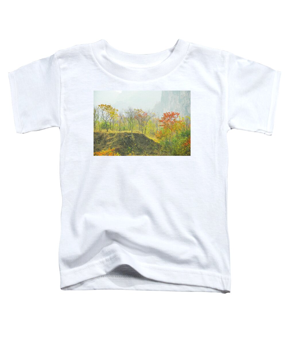 Red Toddler T-Shirt featuring the photograph The colorful autumn scenery #18 by Carl Ning