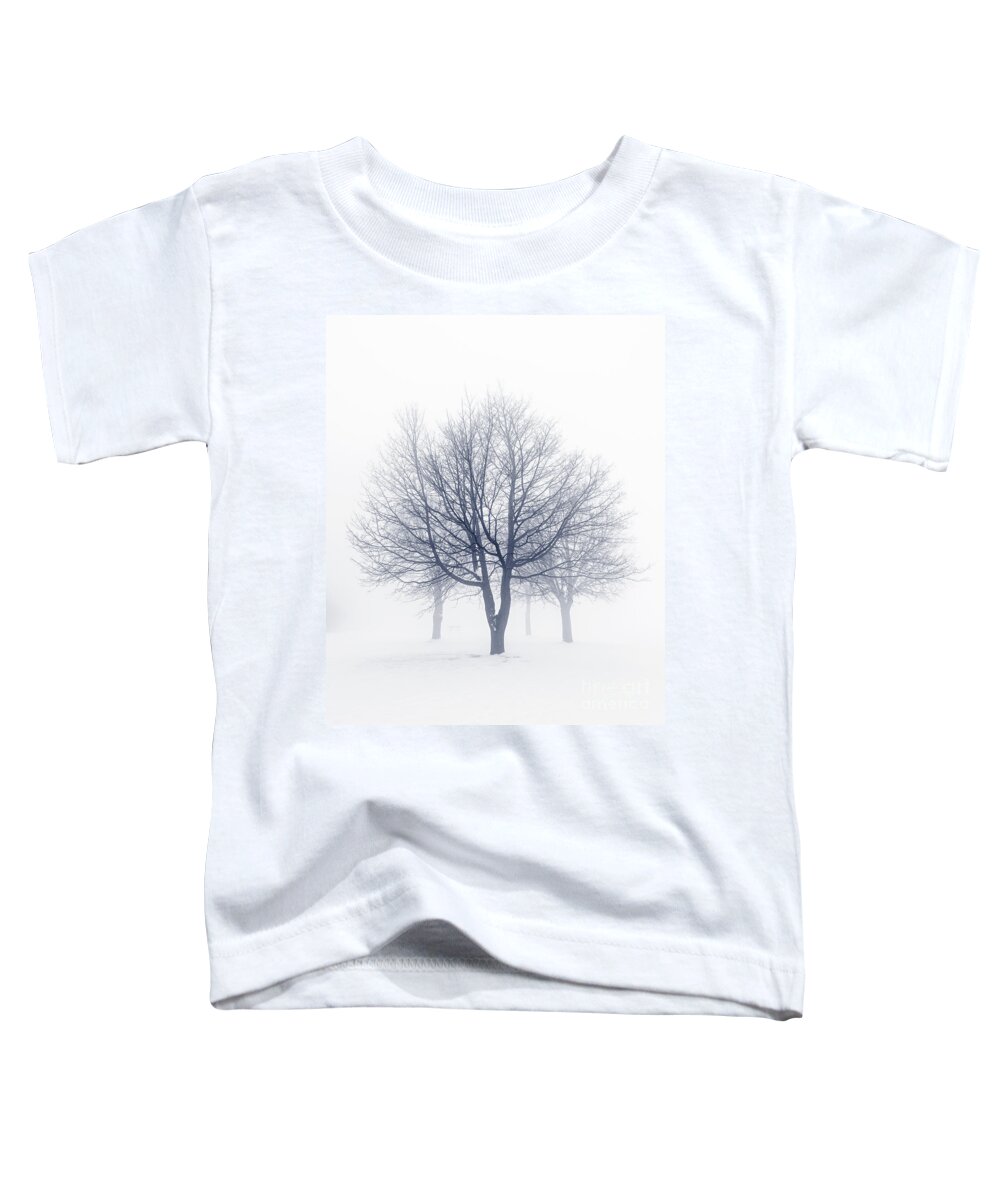 Trees Toddler T-Shirt featuring the photograph Winter trees in fog 8 by Elena Elisseeva