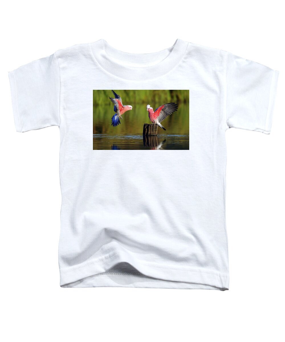 Parrot Toddler T-Shirt featuring the photograph Parrot #20 by Jackie Russo