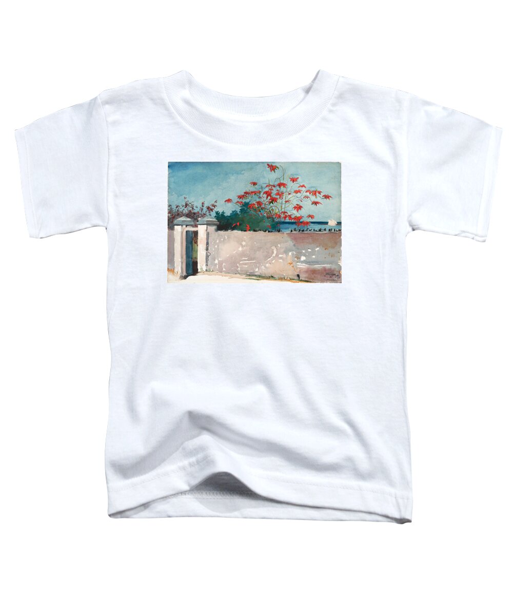Winslow Homer Toddler T-Shirt featuring the drawing A Wall. Nassau #3 by Winslow Homer